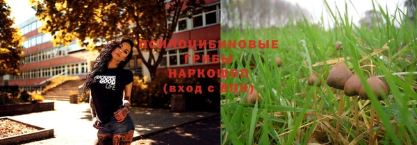 винт Великий Новгород