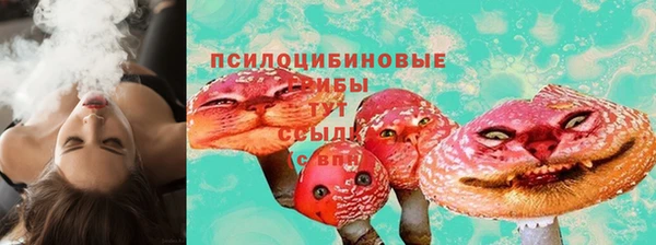прущие грибы Нефтегорск