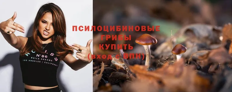 Галлюциногенные грибы Magic Shrooms  Петровск 