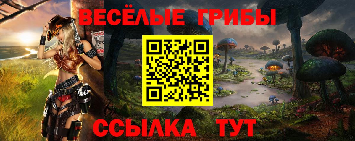 что такое   Вход с VPN  Петровск  Галлюциногенные грибы Magic Shrooms 